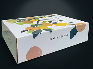 자연을 담은 문수돌배 박스